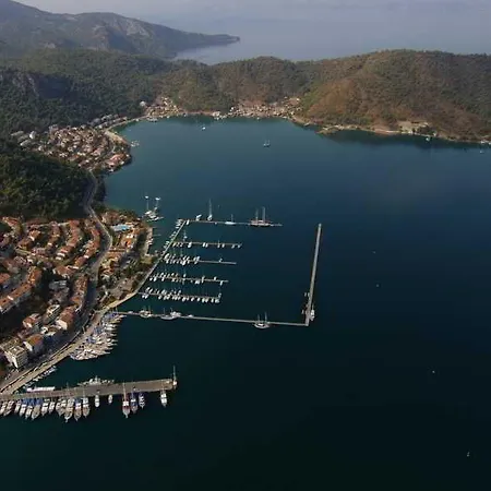 Racing With Glory Dolphins Hotell 4*