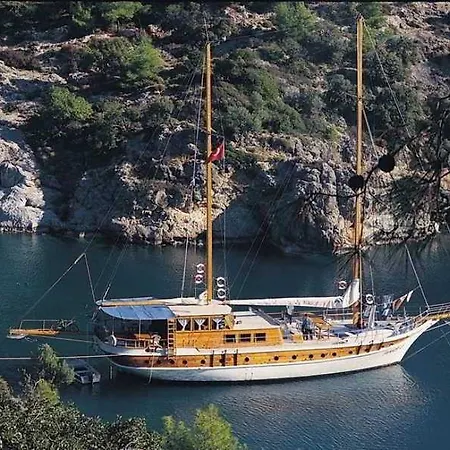 Racing With Glory Dolphins Hotell 4*